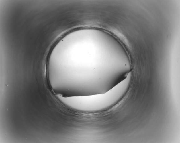 X0000088741224200706212051