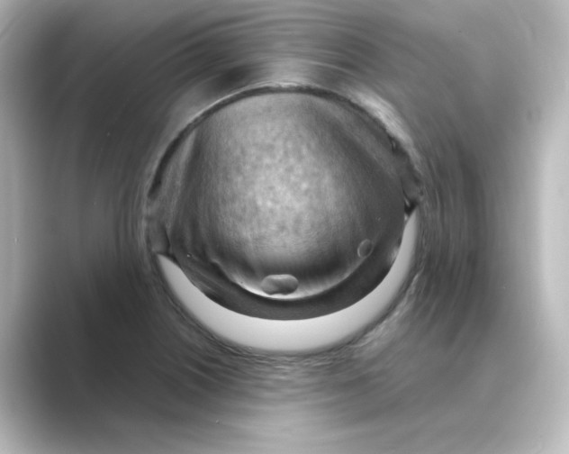X0000088741226200706212051