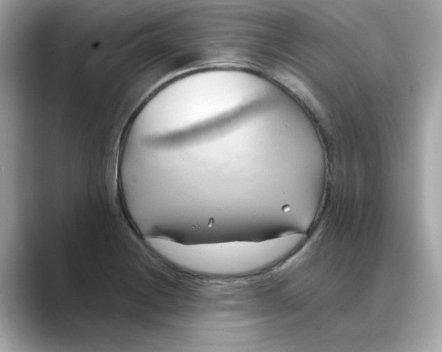 X0000088741228200706212051