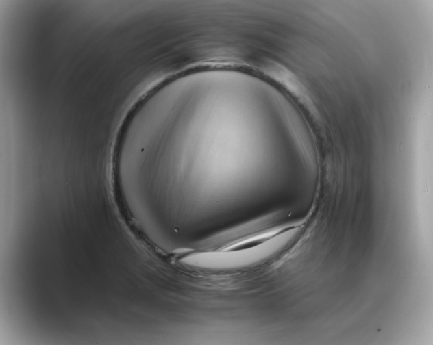 X0000088741229200706212051
