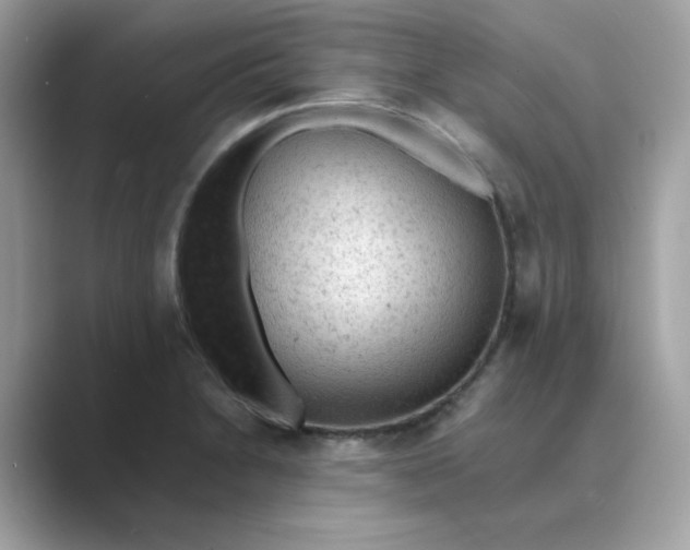 X0000088741230200706212051