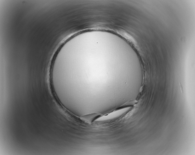 X0000088741231200706212051