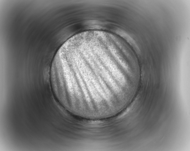 X0000088741233200706212051