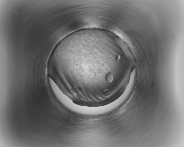 X0000088741234200706212051