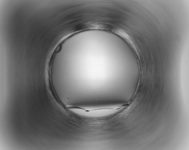X0000088741235200706212051