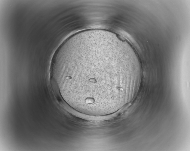 X0000088741236200706212051