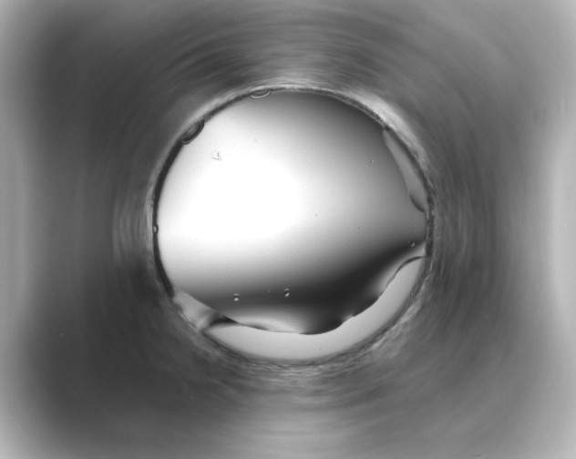 X0000088741238200706212051