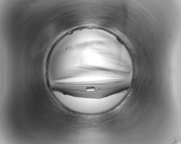 X0000088741240200706212051