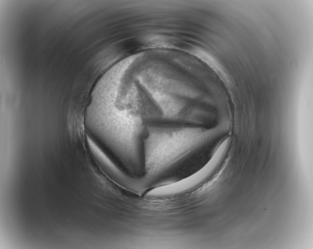 X0000088741241200706212051