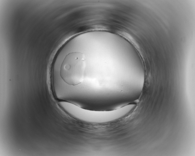 X0000088741243200706212051