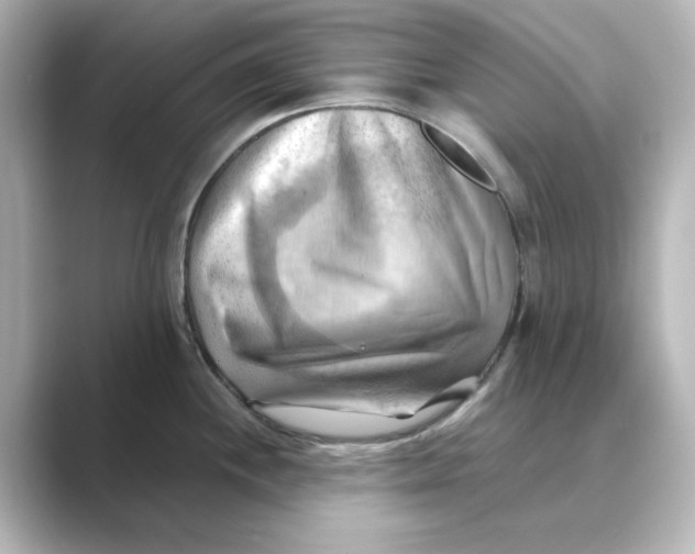 X0000088741244200706212051