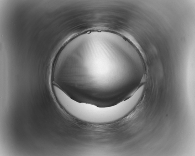 X0000088741245200706212051