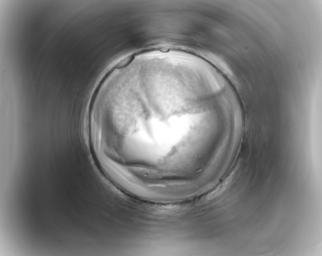 X0000088741247200706212051