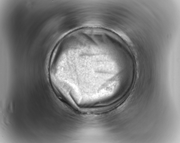 X0000088741248200706212051