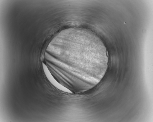 X0000088741250200706212050