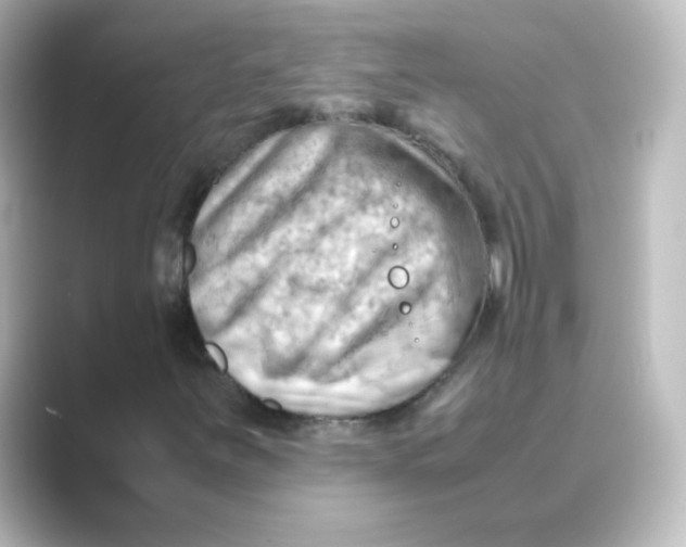 X0000088741251200706212050