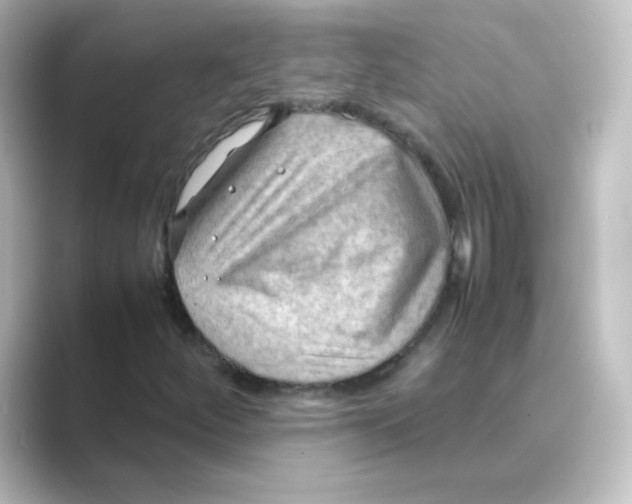 X0000088741252200706212050