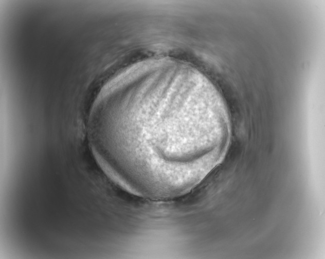 X0000088741253200706212050