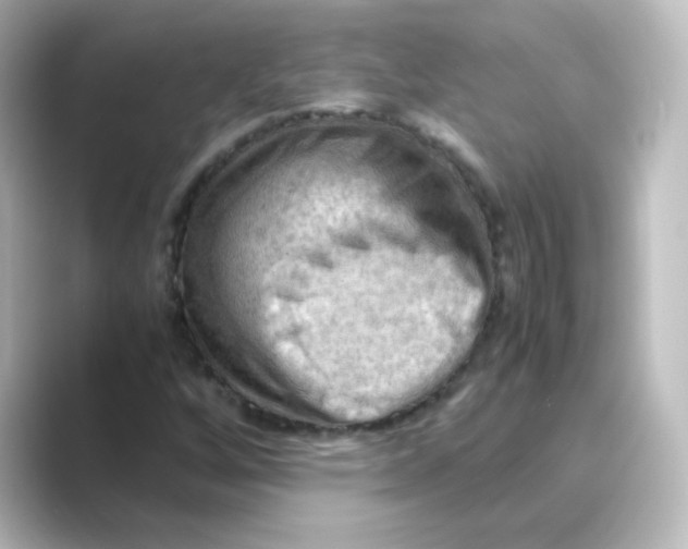 X0000088741256200706212050