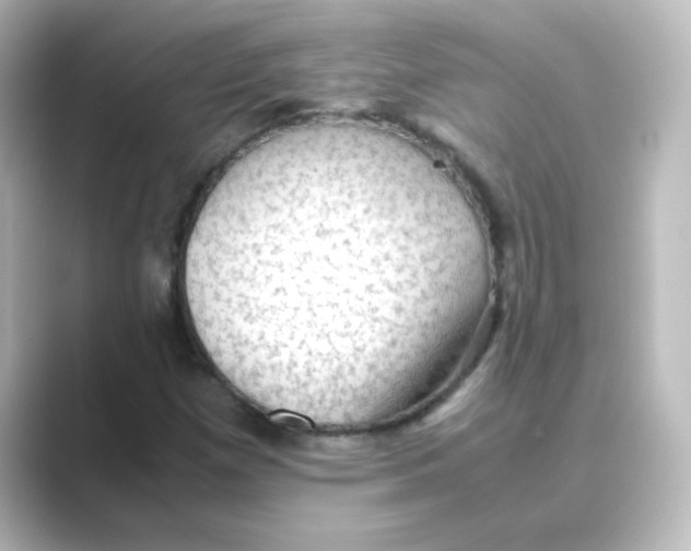 X0000088741257200706212050