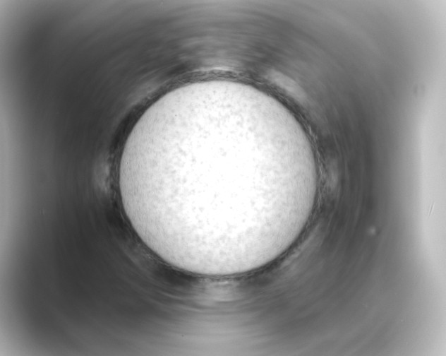 X0000088741258200706212050