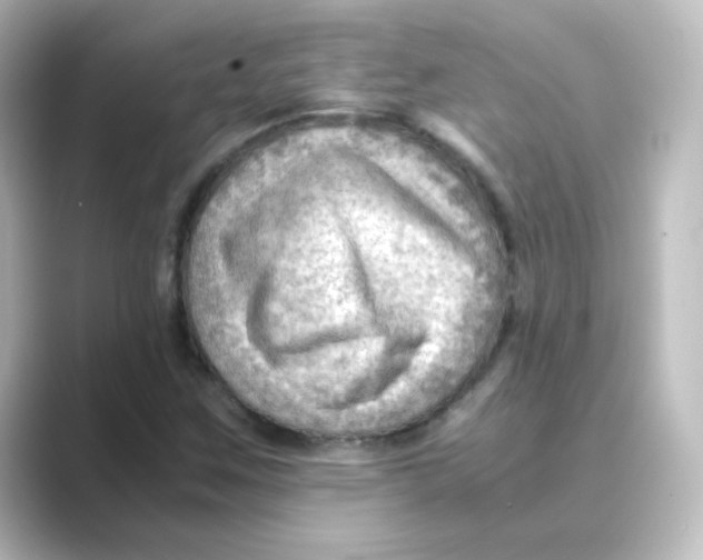 X0000088741259200706212050