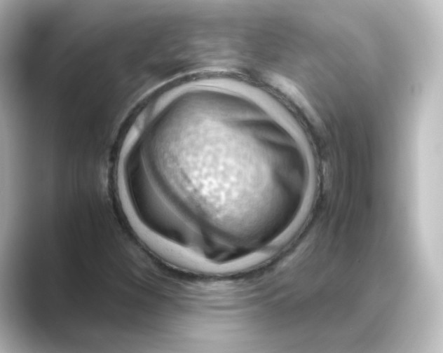 X0000088741260200706212050