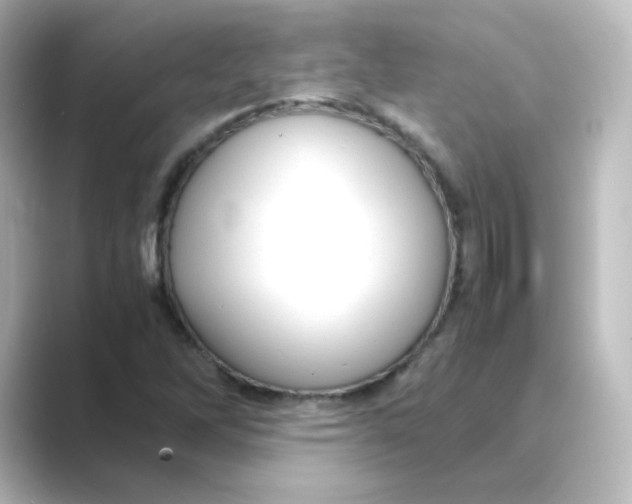 X0000088741262200706212050