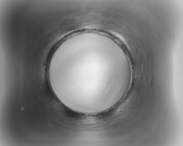 X0000088741263200706212050