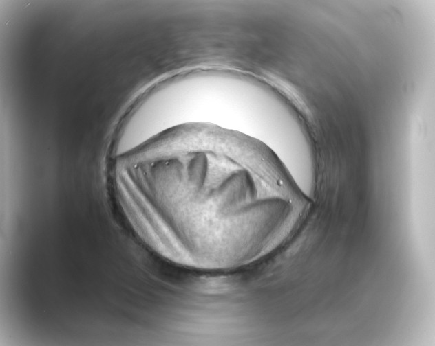 X0000088741264200706212050