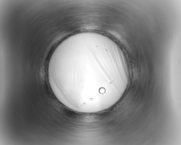 X0000088741266200706212050