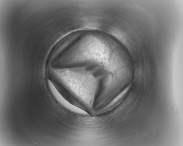 X0000088741268200706212050