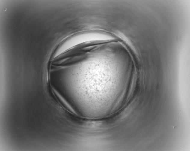 X0000088741269200706212050