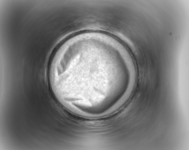 X0000088741272200706212050