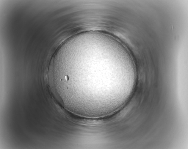 X0000088741273200706212050