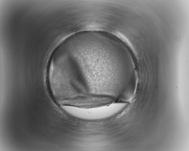 X0000088741277200706212050