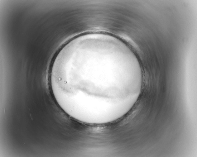 X0000088741278200706212050