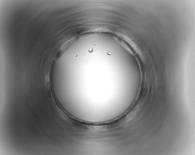 X0000088741281200706212050