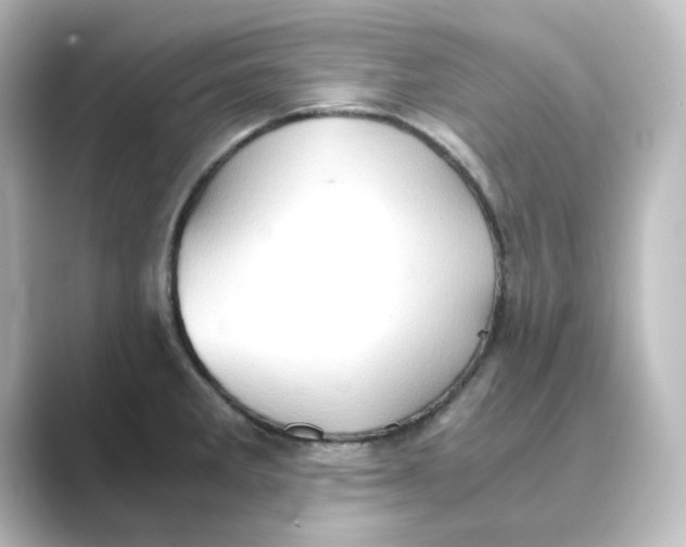 X0000088741285200706212050