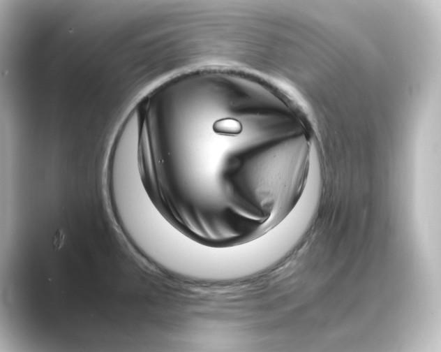 X0000088741287200706212050