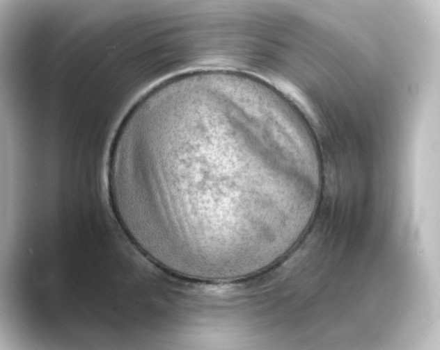 X0000088741288200706212050