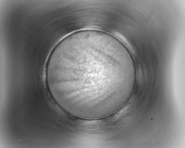X0000088741292200706212050