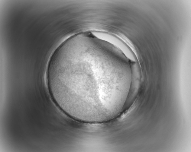 X0000088741293200706212050