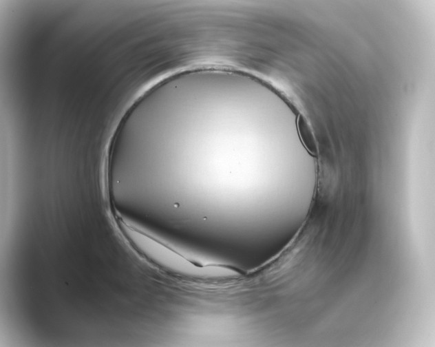 X0000088741295200706212050