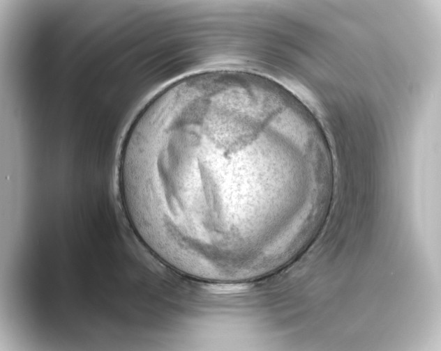 X0000088741296200706212050