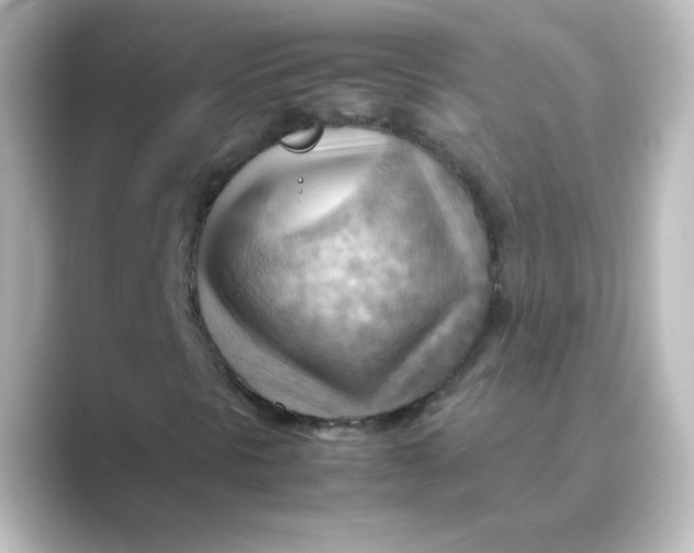 X0000088741297200706212049