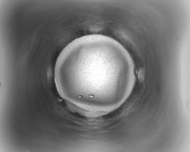 X0000088741299200706212049