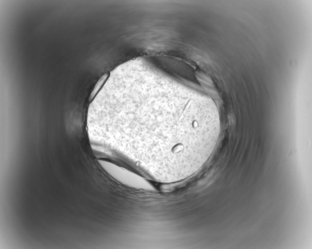 X0000088741300200706212049