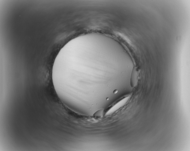 X0000088741303200706212049