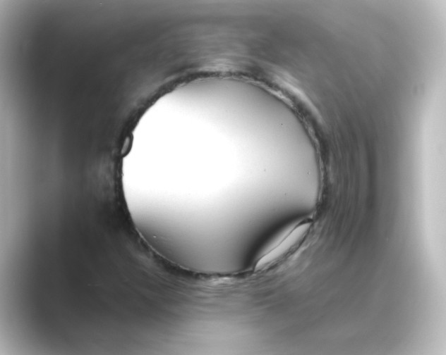 X0000088741304200706212049